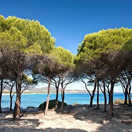 B&B La Quercia Budoni, Tanaunella المظهر الخارجي الصورة